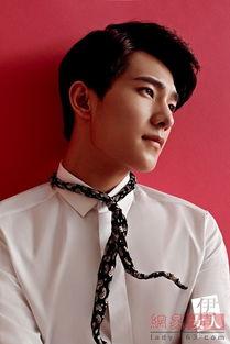 杨洋最新 爆料,揭秘明星背后的故事与成长历程